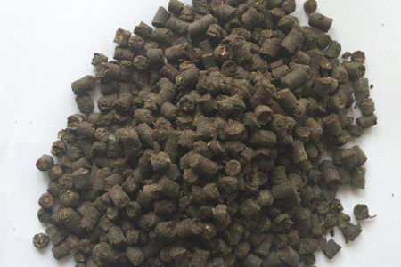 白鹤芋什么时候开花