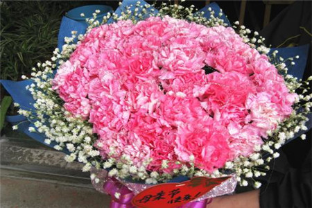 康乃馨多少钱一束