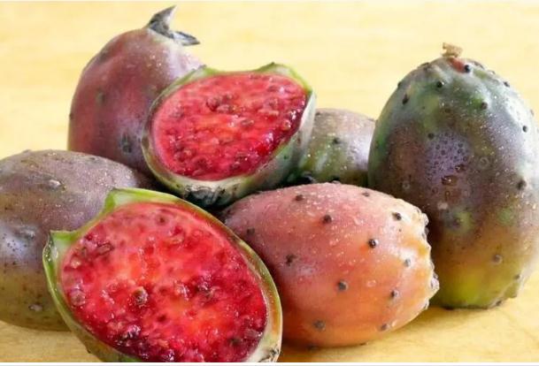 仙人掌果可以吃吗?有什么作用?