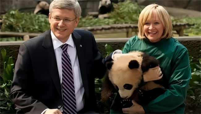 熊猫外交是什么熊猫外交有哪些国家(熊猫外交有何特点)