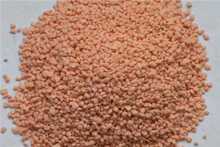 木兰怎么养殖比较好