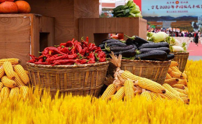 为什么说这是含金量拉满的一周(博特拉大学国内含金量)