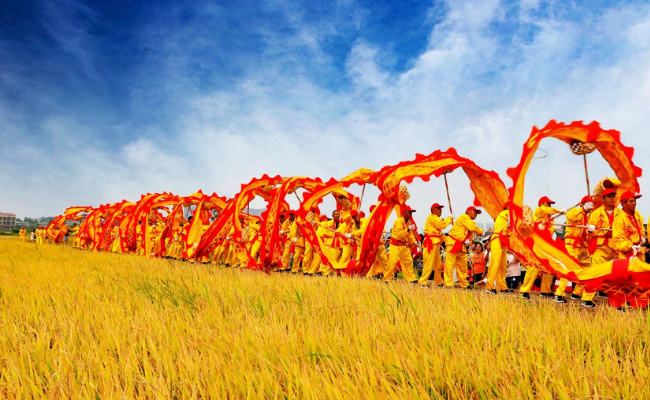 博特拉大学国内含金量
