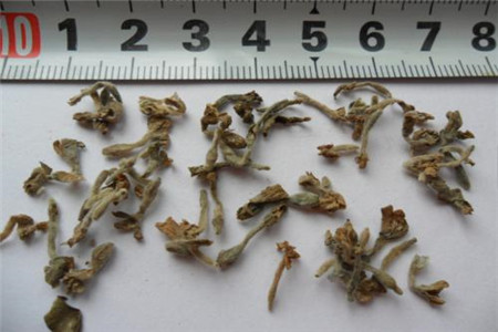 芫花根的功效与作用图片