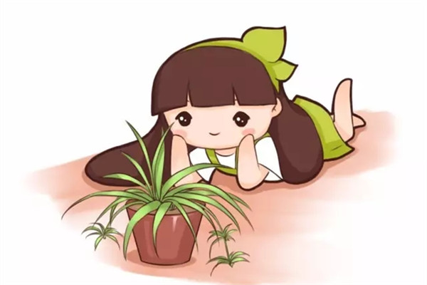 夏天扦插老不活学会这几种方法插啥活啥！(夏天扦插要套上塑料袋吗)