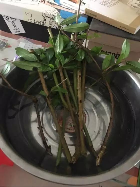 剩水果可以干啥