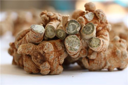 三七的功效与作用和主治与用量