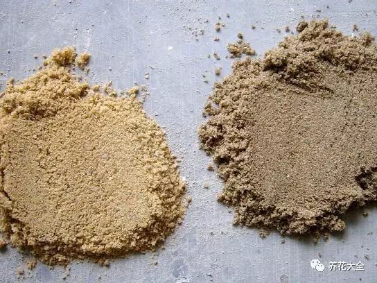 剩水果可以干啥