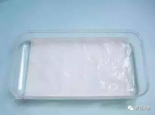 剩水果可以干啥