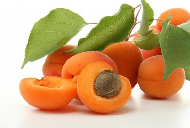 杏子能和西瓜一起吃吗过量易出现腹泻情况(杏子能和西瓜一起吃吗过量易出现腹泻情况吗)