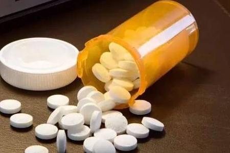 人参榕树怎么养殖方法和注意事项