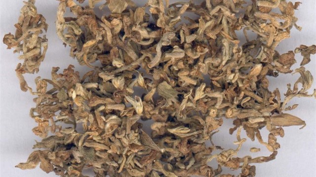 芫花根的功效与作用(芫花根的功效与作用图片)