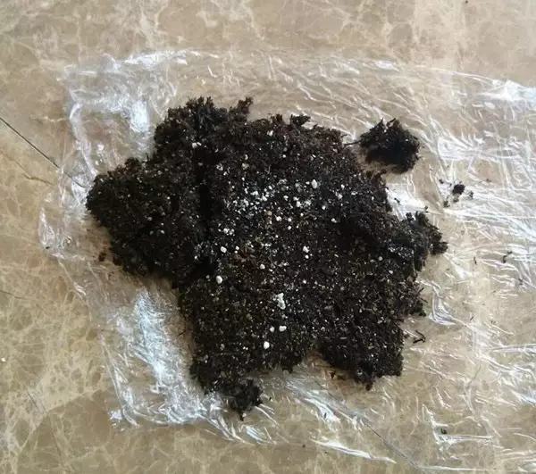 剩水果可以干啥