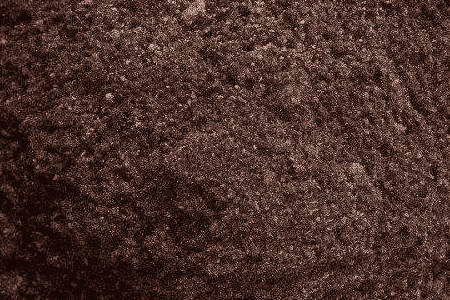 紫背菜有什么功效?