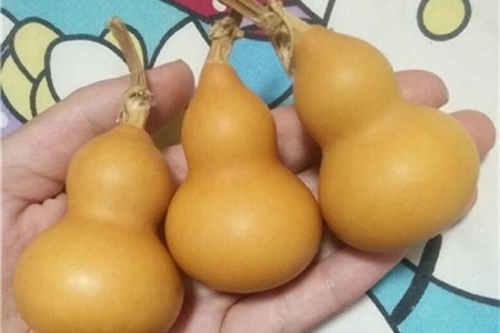 怎么让葫芦快速的变红变亮