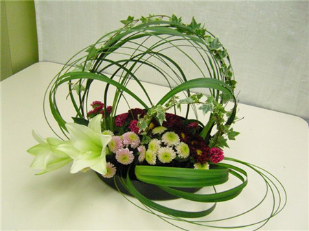 满天星插花艺术图片