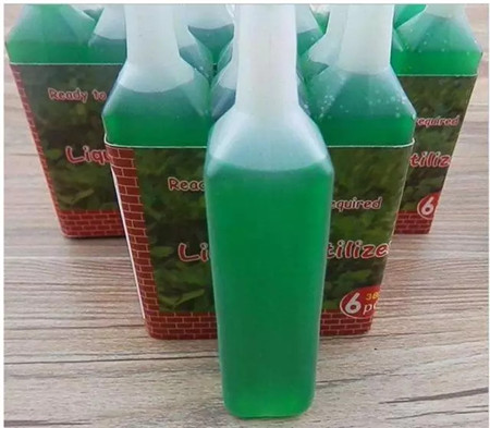 水培花卉为什么会烂根