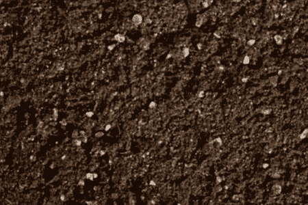 西洋蓍草的养殖方法和注意事项视频