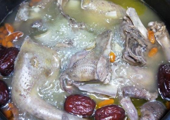 感冒了可以喝鸽子汤的功效与作用