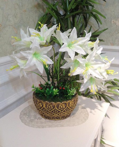百合盆栽冬天会冻死吗