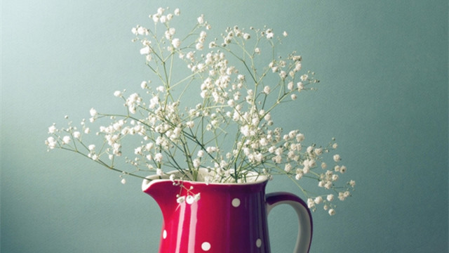 满天星的插花艺术(满天星插花艺术图片)