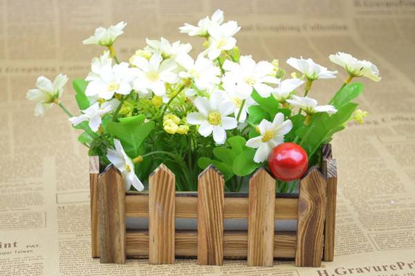 在厨房摆几盆植物居然这么有用(厨房摆什么花有利健康)