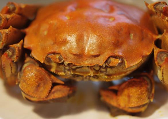 吃螃蟹后不能吃哪些水果