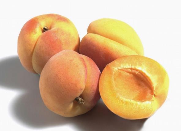 杏伤人是什么意思生痈疖伤筋骨长痘上火(杏伤人是真的吗)