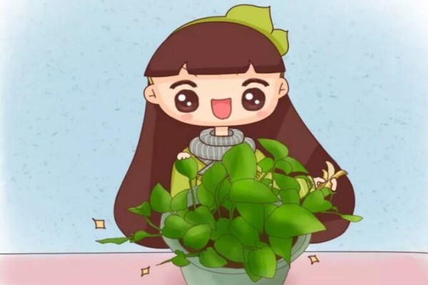 给花撑把太阳伞叶子立马绿油油天气再热都不怕！(太阳伞了)