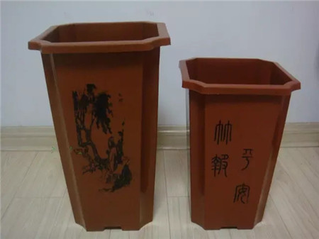 百合球怎么养殖