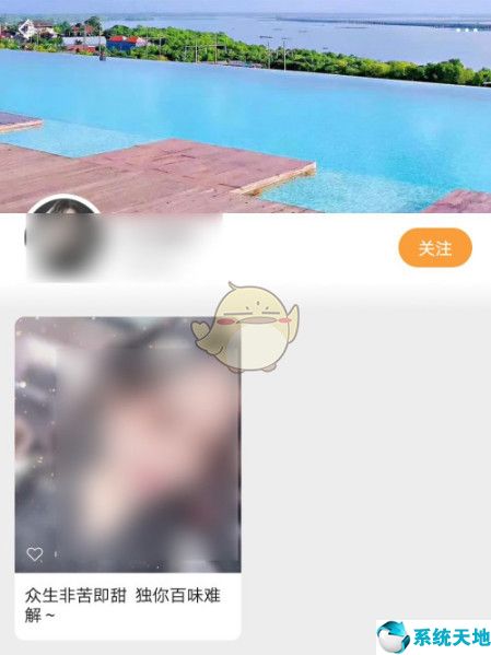 微信视频号如何搜索视频(微信视频号里怎么搜索人)