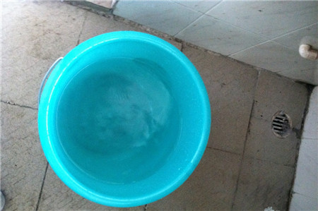 谁念西风独自凉