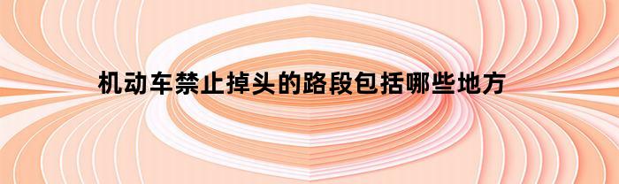 机动车禁止掉头的路段包括哪些地方(机动车禁止掉头处罚)