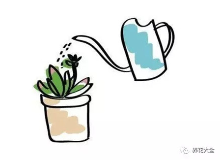 浇水浇死的植物