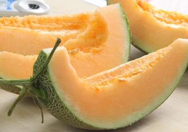 哈密瓜长毛了还能吃吗哈密瓜根部发霉能吃吗(哈密瓜根部发霉可以吃吗)