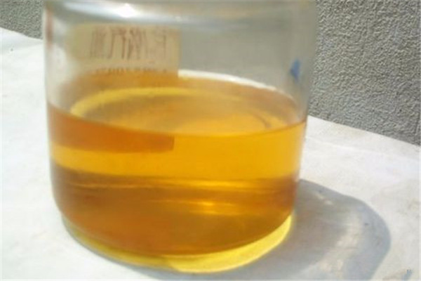 盆里滴1滴油,花1个月爆盆,10年不黄叶(谁念西风独自凉)