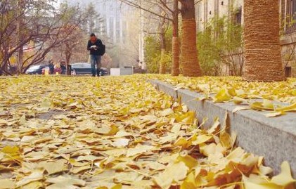 老丝瓜瓤怎么去皮