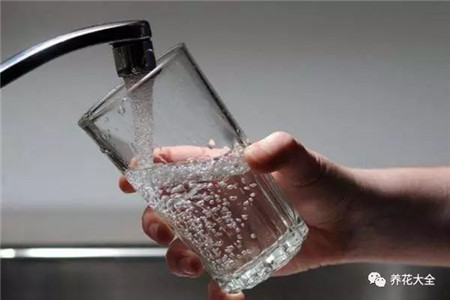 浇水浇死的植物