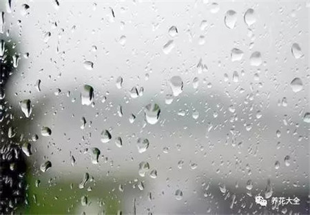 浇水浇死的植物