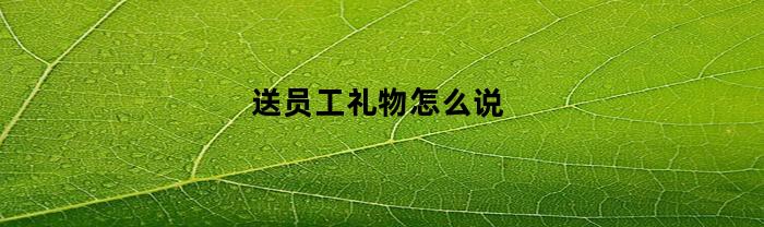 送员工礼物怎么说(送员工礼物寄语一句话)