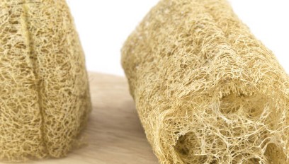 老丝瓜瓤怎么去皮