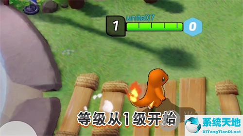 宝可梦大集结移动端(宝可梦大集结玩法介绍)