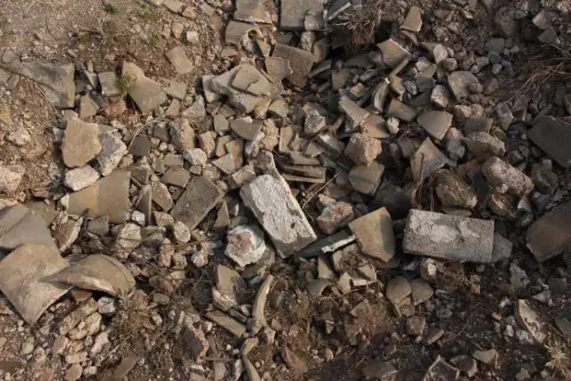 不用种土里的花