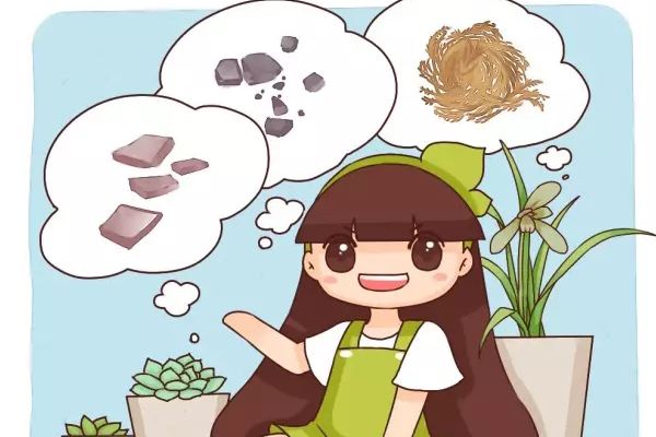 别人种花不用土只用它花长的根粗叶壮绿油油！(不用种土里的花)