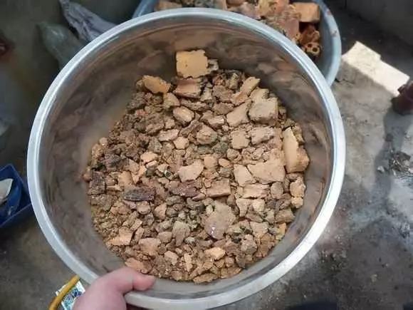 不用种土里的花