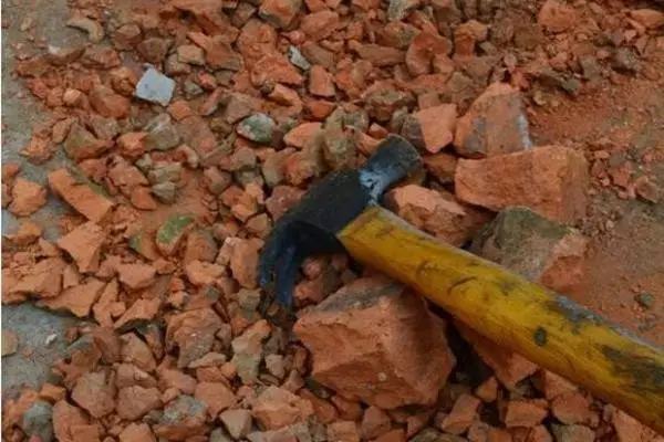 不用种土里的花