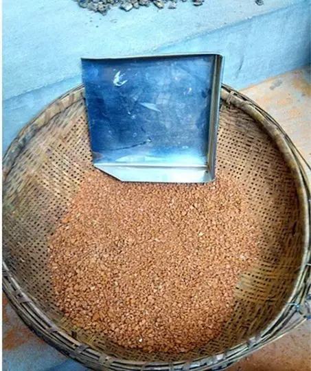 不用种土里的花