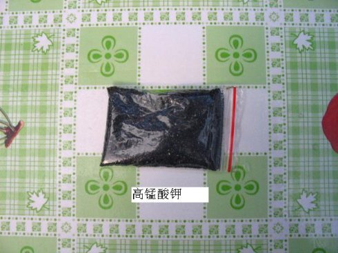 如何修剪富贵竹的黄叶