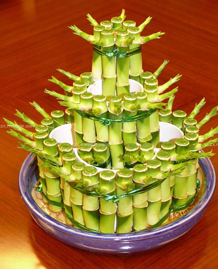 富贵竹养几支最吉利