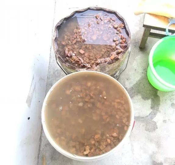 不用种土里的花